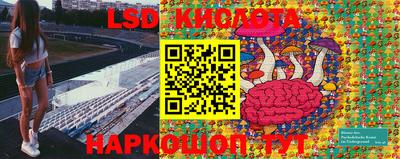 молекула духа Тверь