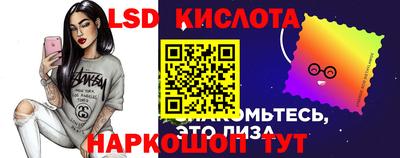 ГАЛЛЮЦИНОГЕННЫЕ ГРИБЫ Тара