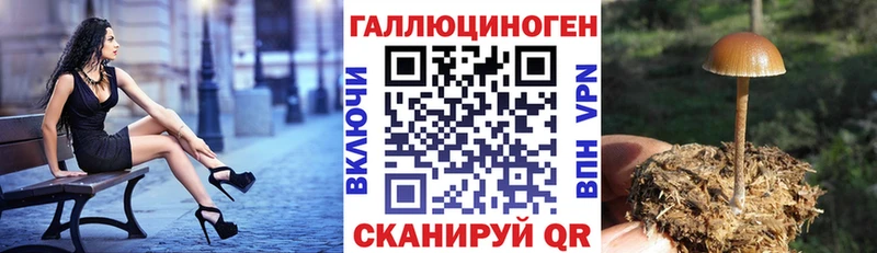 Псилоцибиновые грибы Psilocybe  где можно купить   Дятьково 