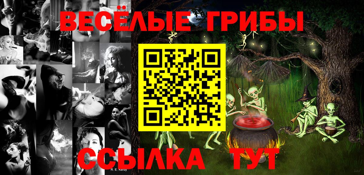Псилоцибиновые грибы мицелий Дятьково