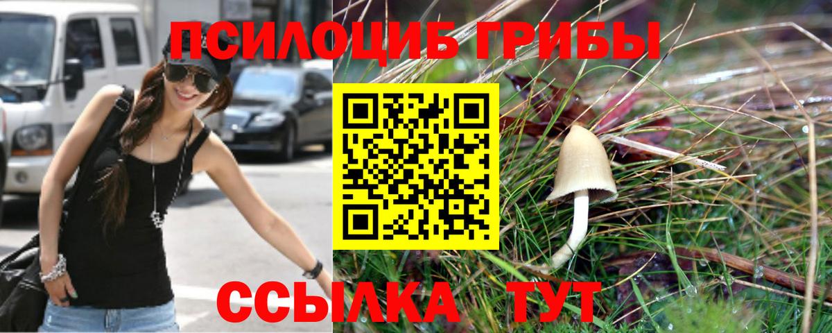 Галлюциногенные грибы мухоморы  Вход с VPN  Галлюциногенные грибы Magic Shrooms  Дятьково 